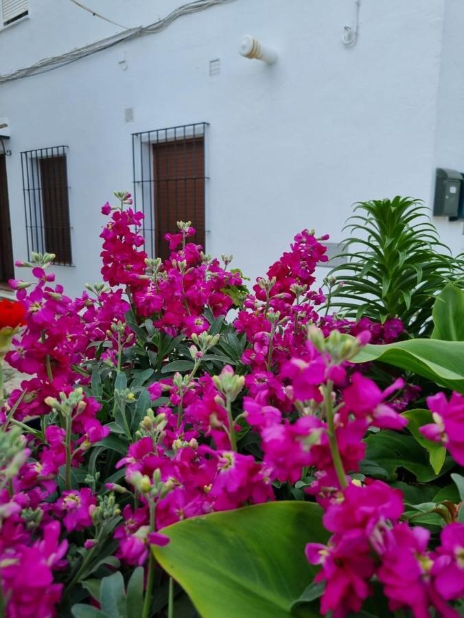 Villa Casa Francisca En El Casco Antiguo à Vejer de la Frontera Extérieur photo
